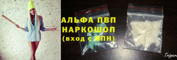 СК Богородск