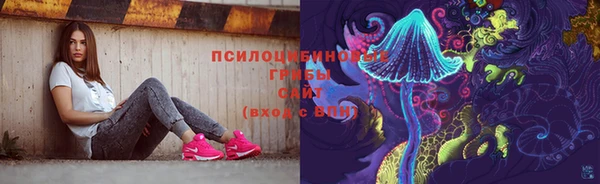 СК Богородск